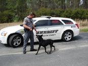 Dorchester County K-9